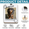 Custom Photo Car Visor Clip - Personalized Pet Memorial Sympathy Gifts For Dogs, Cats - My Little Guardian Angel