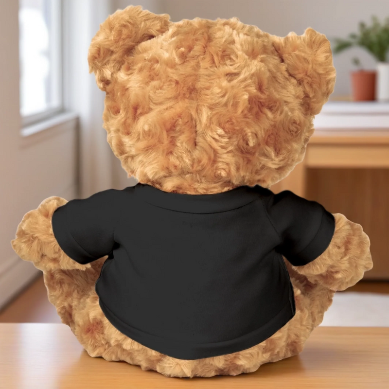 Personalised Photo Teddy Bear Plush - Meaningful Memorial or Graduation Gift - Walking Beside You On Graduation Day