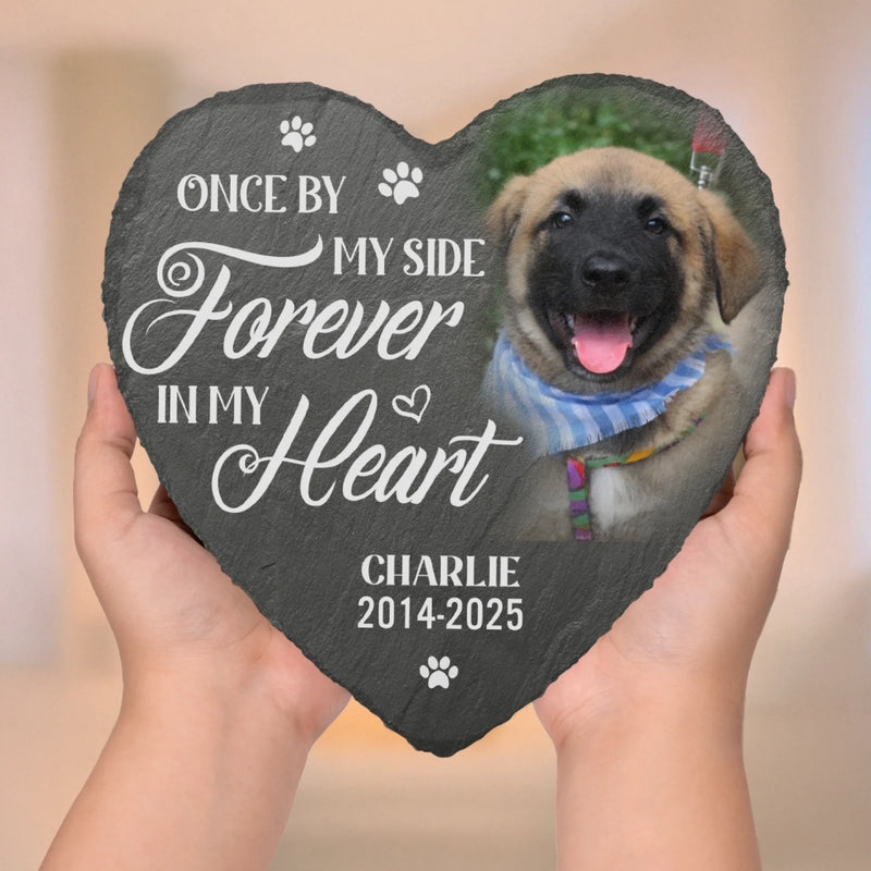 Custom Photo Memorial Stone - Personalised Pet Memorial Sympathy Gifts For Dogs, Cats, Loss Of Dog, Loss Of Cat - You Would Have Lived Forever