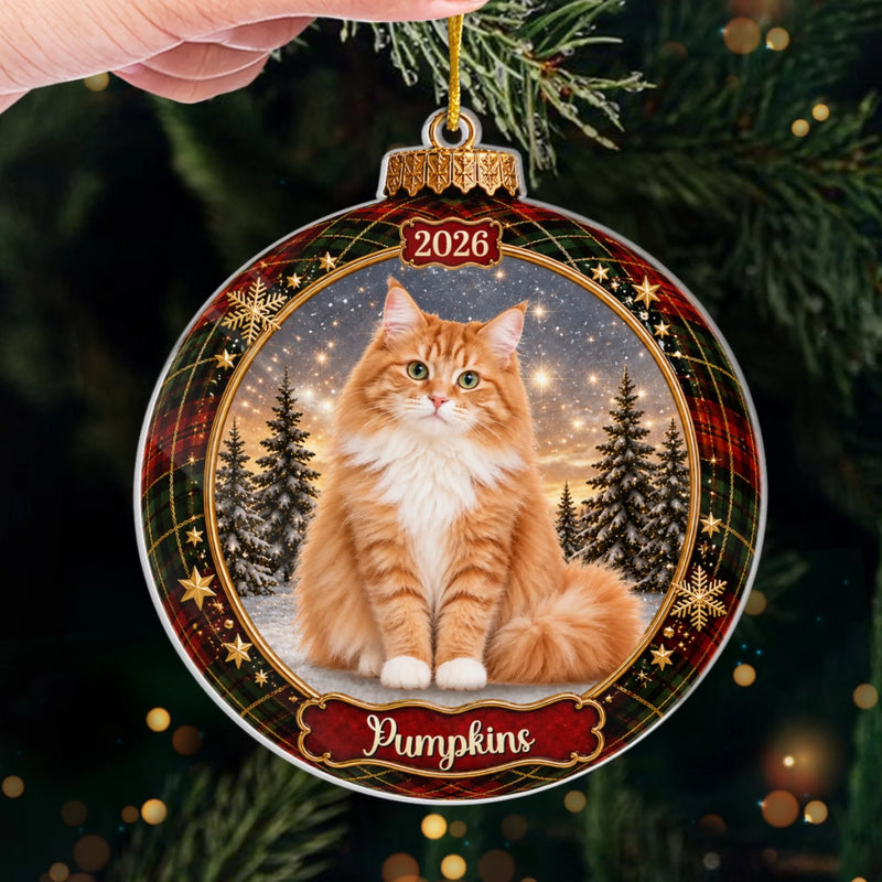 Custom Photo Acrylic Ornament - Personalized  Christmas Birthday Gifts For Dog Cat Lovers, Dog Dad And Mom, Cat Owners - Twinkling With Pet Love