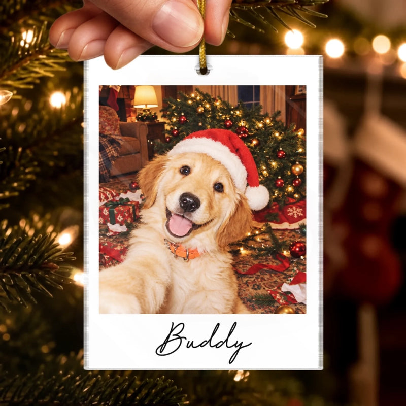 Custom Funny Pet Selfie Photo Christmas Gifts For Dog Cat Lovers - Personalized Acrylic Ornament