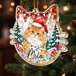 Custom Pet Photo Christmas Gifts For Cat Lovers - Personalized Acrylic Ornament